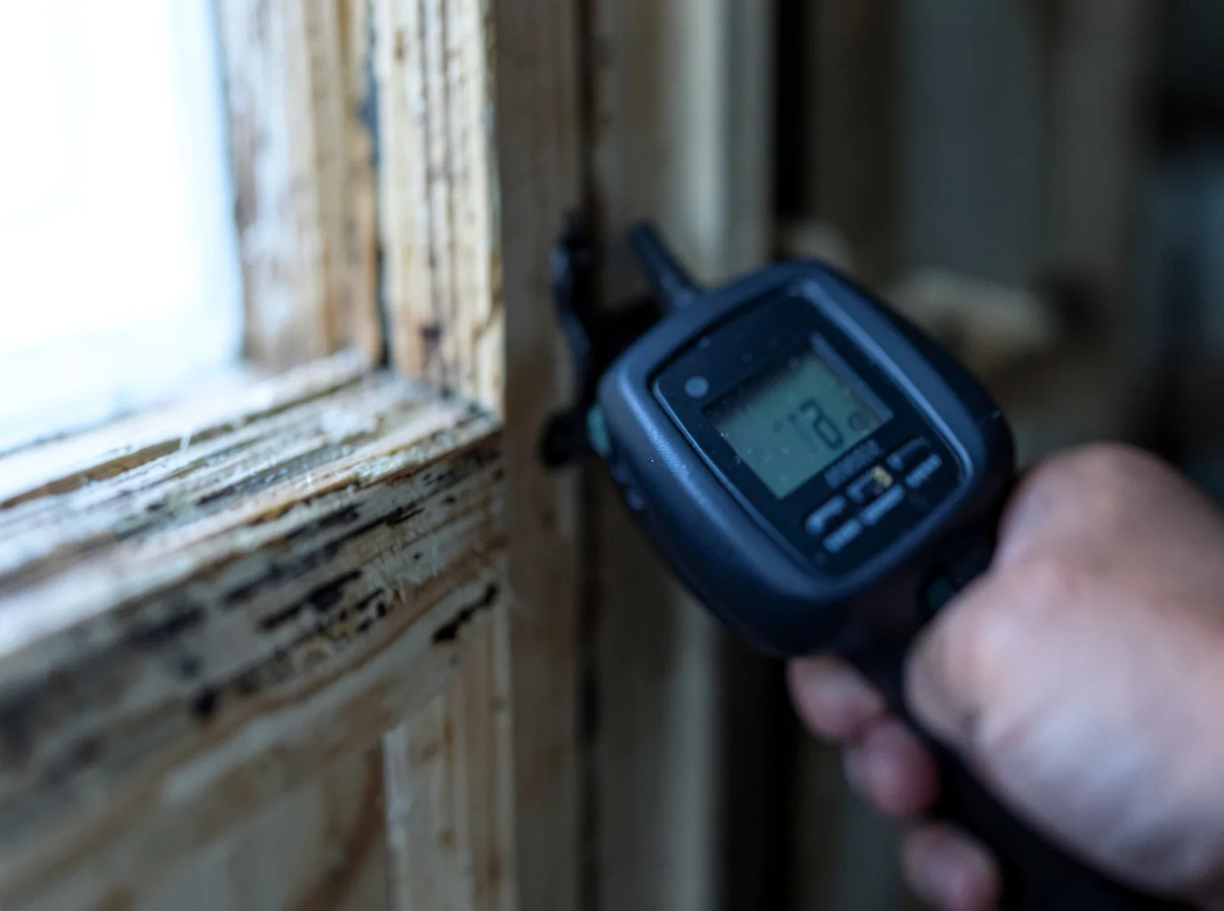 Moisture Inspection And Documentation in Trenton, NJ